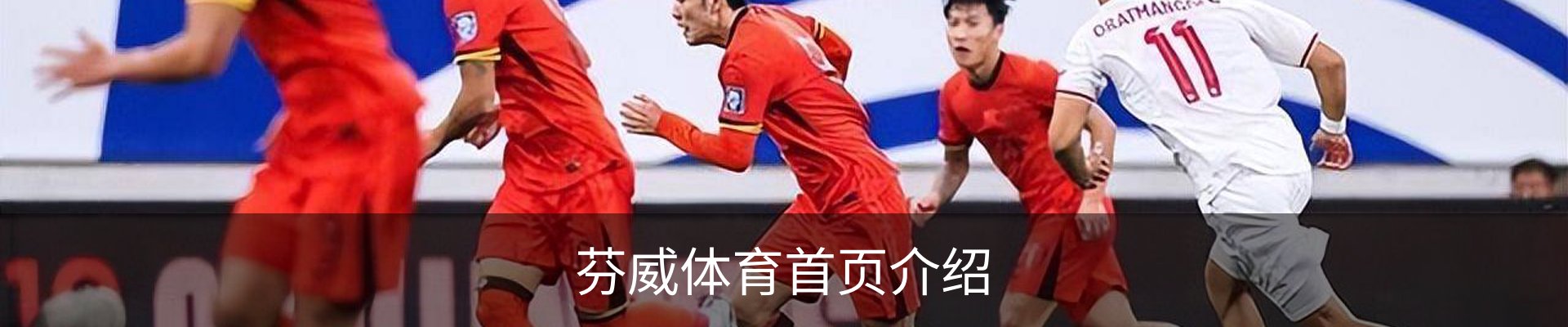 芬威体育首页介绍