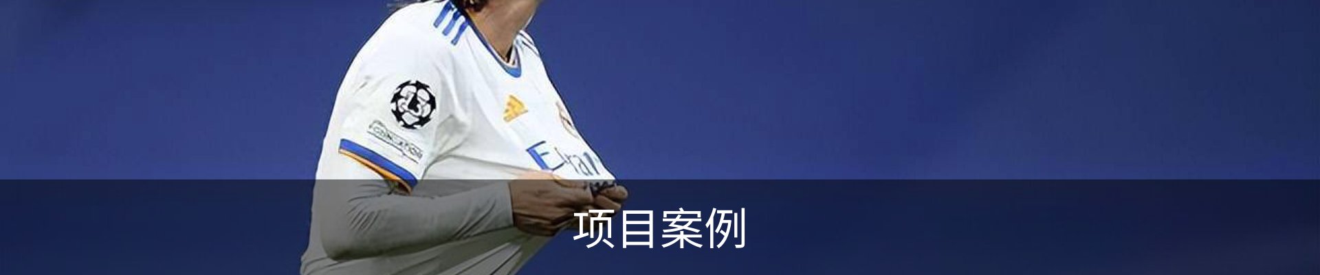 项目案例